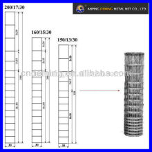 Enchapado en caliente de alta calidad galvanizado cerca de campo (Fábrica de Deming, certificado ISO900)